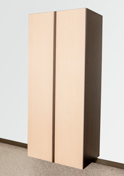 Maple / Chocolate Cabinet Option Maple / Chocolate Cabinet Option